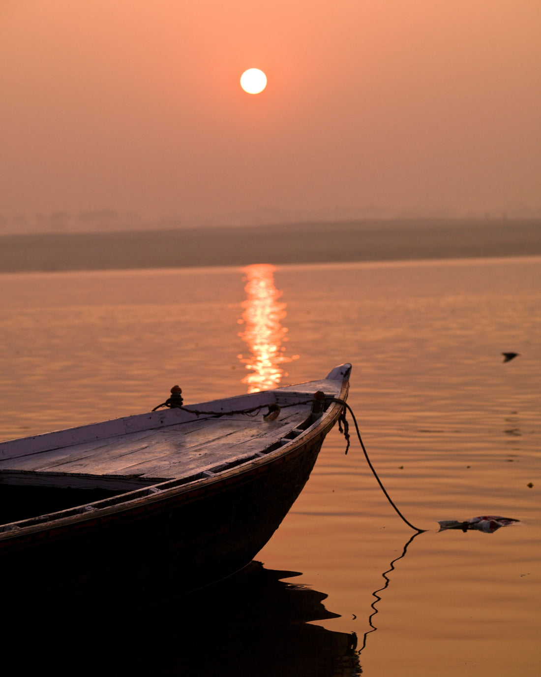 Subah-E-Banaras– Where Dawn Wears Divinity