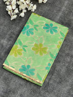 Borderless Pure Mango Silk Saree