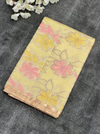 Borderless Pure Mango Silk Saree